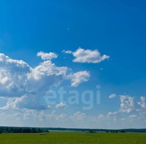 ул Садовая фото