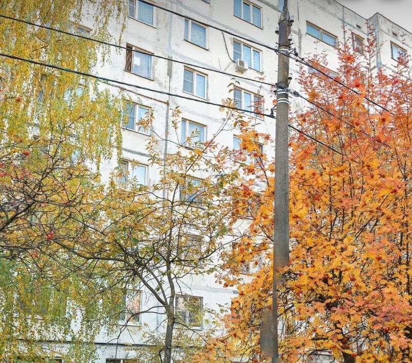 квартира г Воронеж р-н Коминтерновский ул Хользунова 88 фото 10
