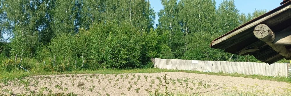 земля г Нижний Новгород Пролетарская кп, пос. Березовый Клин, Зеленый Город фото 3