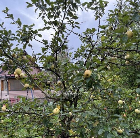 Морозовское городское поселение, ул. Театральная, 238, Аврора СНТ фото