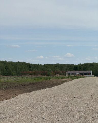земля д Коченягино 46 км, Троицкое, Новокаширское шоссе фото