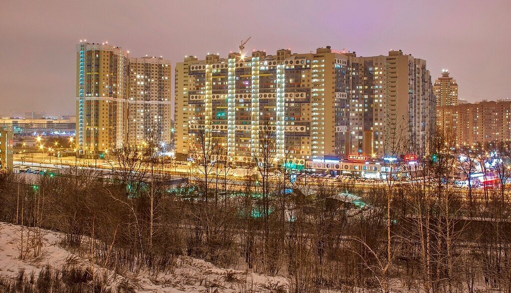 квартира г Красногорск ул Спасская 1к/1 Пенягино фото 8