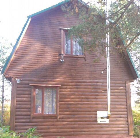 д Кайвакса Борское с/пос, 11-я линия фото
