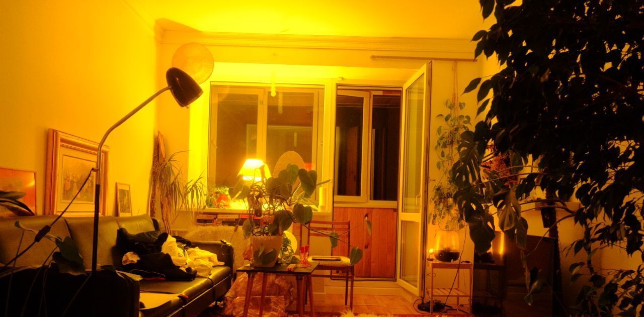 квартира г Ижевск р-н Индустриальный ул 9 Января 197а фото 8
