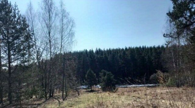 Коломна городской округ, Елочка СНТ фото
