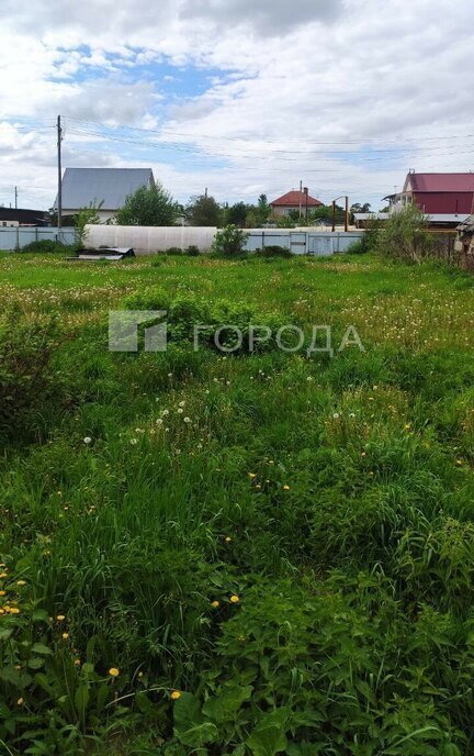 земля г Новосибирск р-н Калининский Заельцовская Пашино фото 2