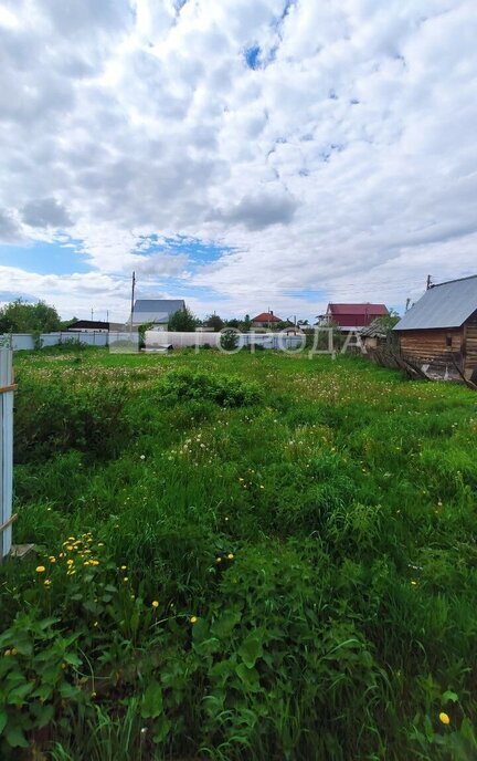 земля г Новосибирск р-н Калининский Заельцовская Пашино фото 3