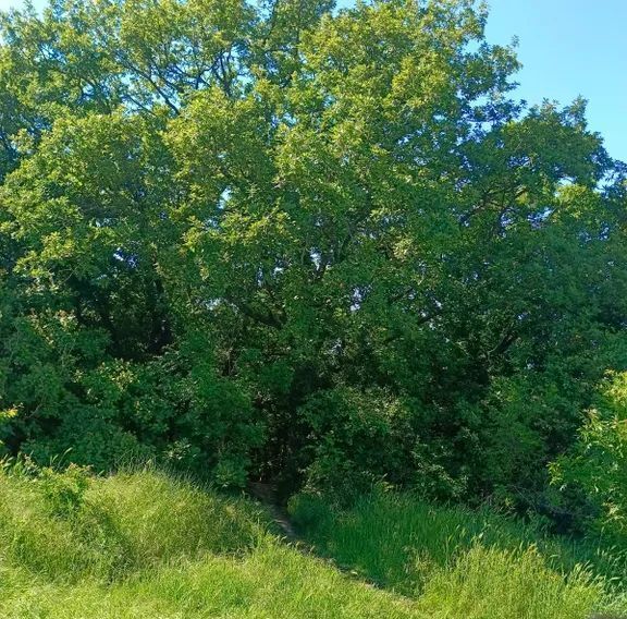комната г Новороссийск р-н Приморский ул Подгорная 3 Цемдолина тер. фото 16
