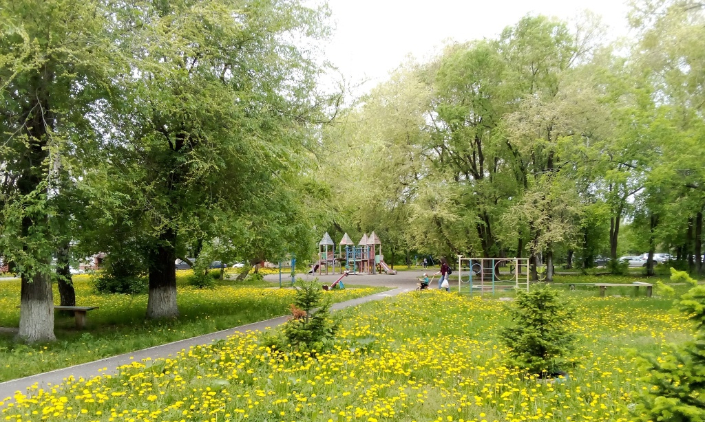 квартира г Новокузнецк пр-кт Дружбы 37 Кузбасс фото 10