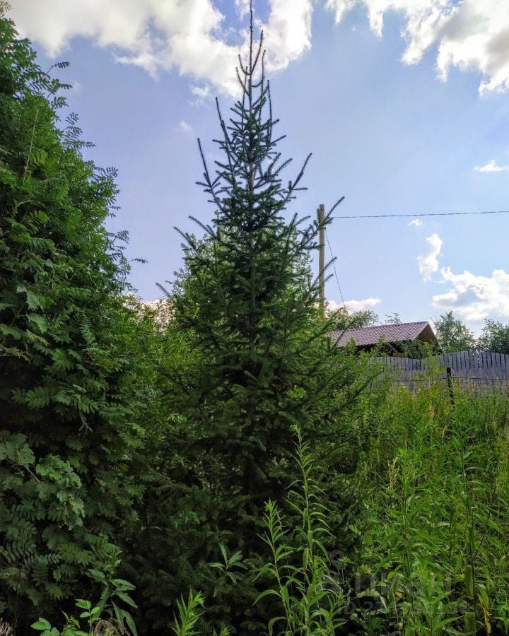 дом г Владимир р-н Фрунзенский сад Сунгирь-2 фото 1