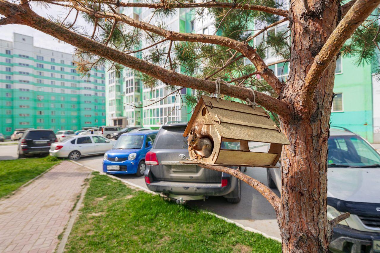 квартира г Новосибирск ул Виталия Потылицына 630133 11 фото 20