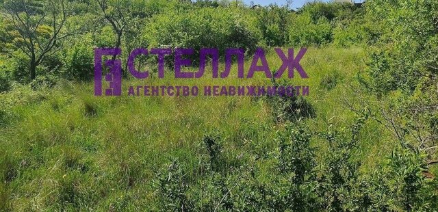 тер СПК Энергетик Феодосия фото