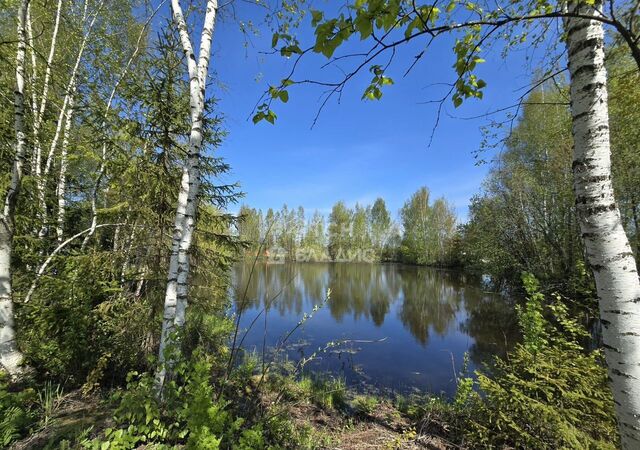 снт Никулино 34 км, Красноармейск, Ярославское шоссе фото