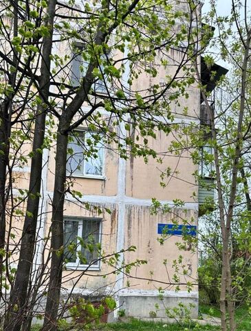 п Смирновка 3 фото