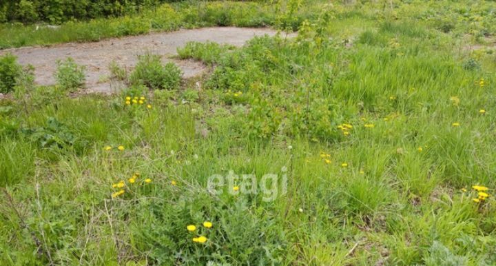 земля г Саранск с Зыково ул Советская фото 1