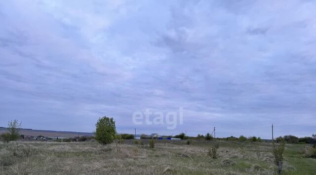 ул Сосновая фото