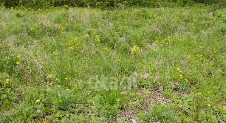 земля г Саранск с Зыково ул Советская фото 4