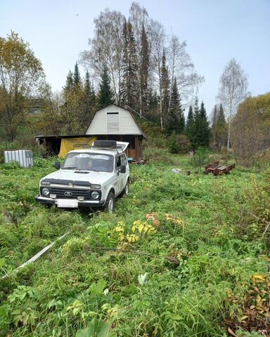 Кемеровская обл. — Кузбасс, СНТ Пчеловод Барзаса фото