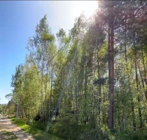 д Стрелковка снт Дубрава с пос, 366, Верховье фото