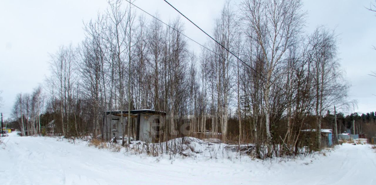 земля г Сургут снт Газовик ул Брусничная фото 5
