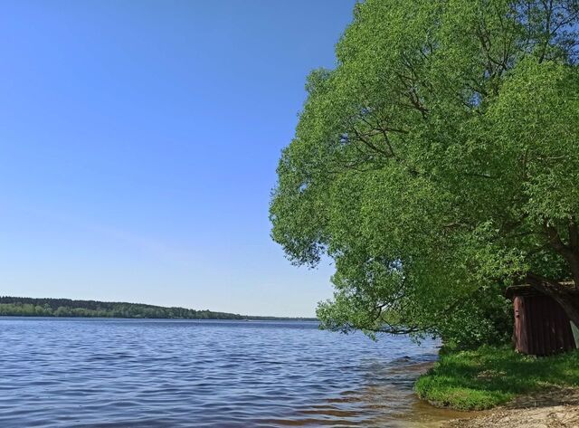 земля д Бурцево фото
