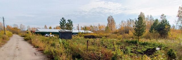 снт Поляна ул Длинная фото