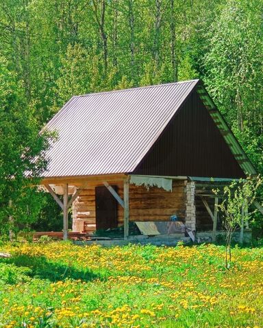 сад тер коллективныйN 87 Первоуральск фото