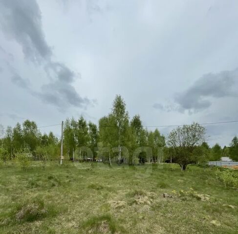 земля х Изотов с Рябинки фото