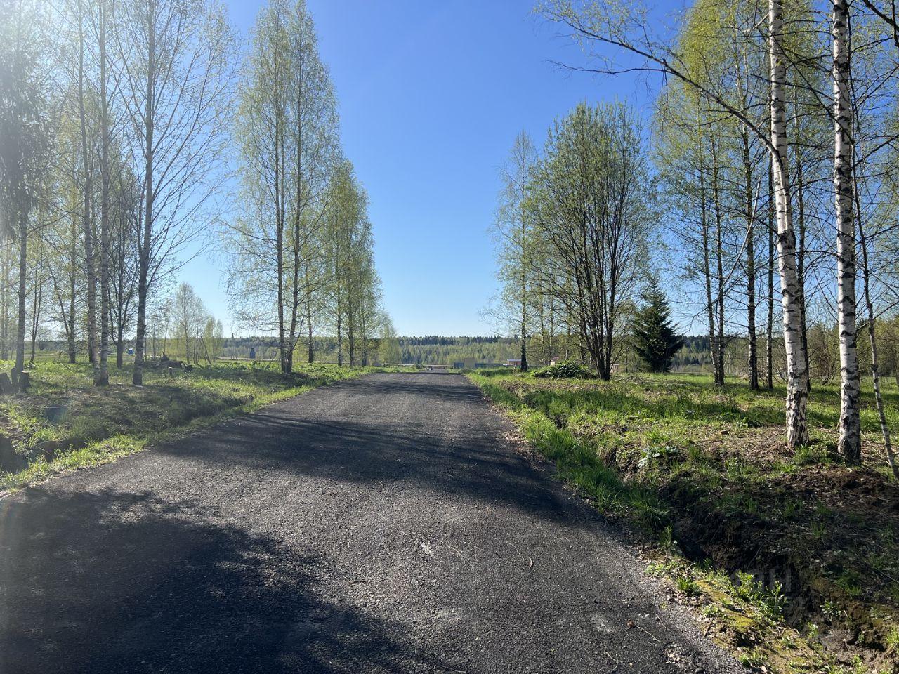 земля городской округ Сергиево-Посадский г Краснозаводск «Холмогоры» фото 12