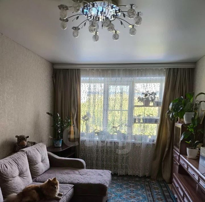 квартира г Курск р-н Центральный ул Косухина 5 фото 4