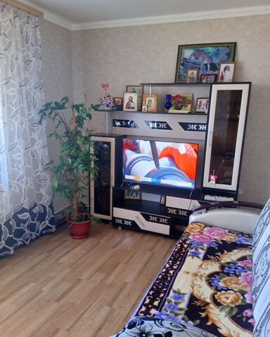 д Данауровка ул Центральная 34 Республика Татарстан Татарстан, Данауровское сельское поселение, Чистополь фото