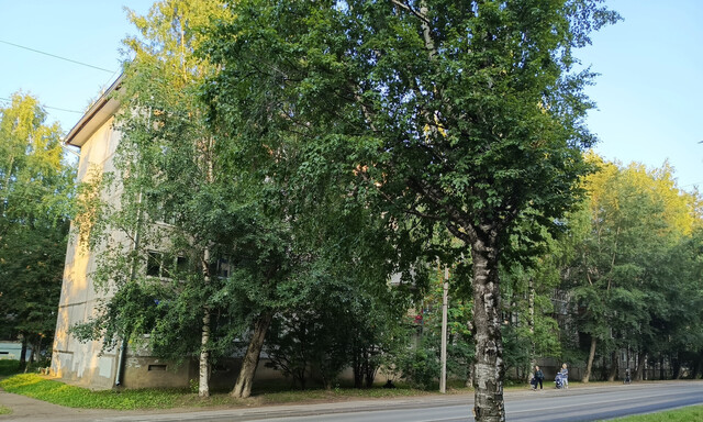Центральный район дом 59 м-н фото
