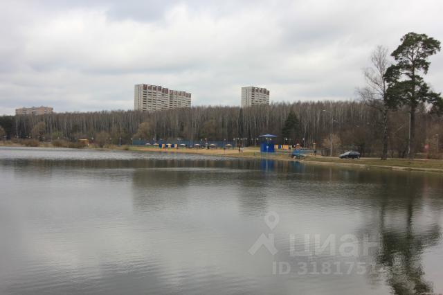 квартира г Зеленоград 10-й микрорайон Силино ЗелАО к 1003, Московская область, г Пушкино, Зеленоград фото 18