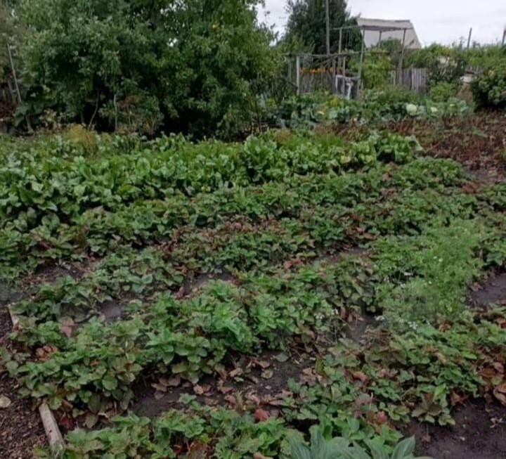дом г Омск мкр Крутая Горка р-н Октябрьский фото 2