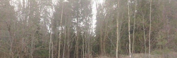 офис г Черноголовка фото 1