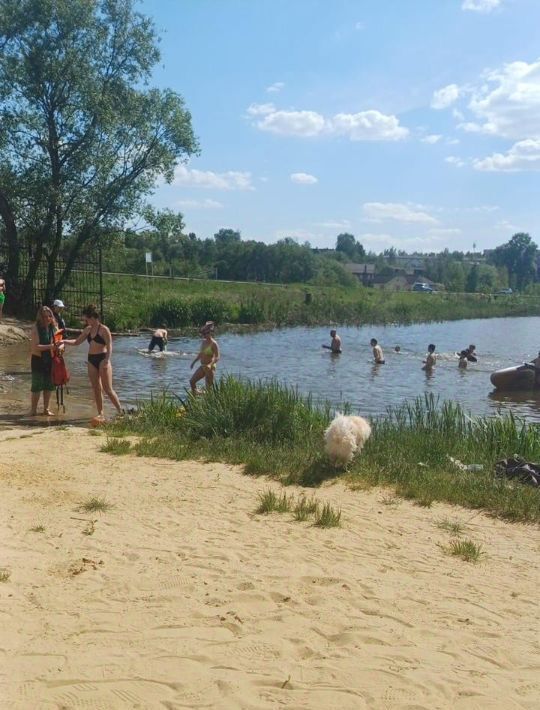 квартира г Видное р-н мкр Новый 2, Лесопарковая фото 32