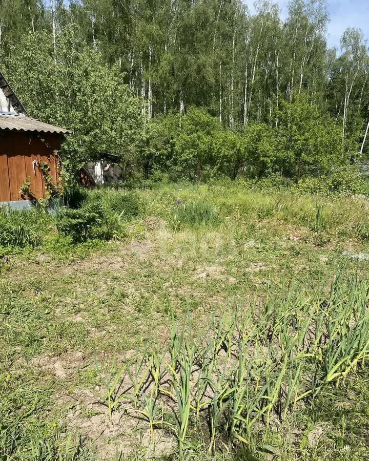 земля г Коломна 86 км, СНТ Алиса, 23, Первомайский, Каширское шоссе фото 3