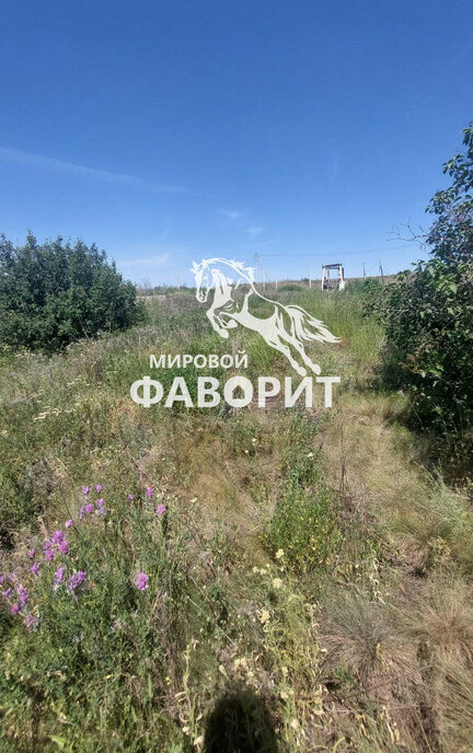 земля г Орск р-н Октябрьский ш Гайское фото 6