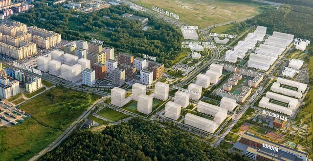 массив Янино-Аэродром, стр. 5 фото