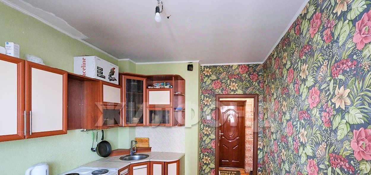 квартира г Новосибирск р-н Заельцовский Заельцовская ул Вавилова 3 фото 2