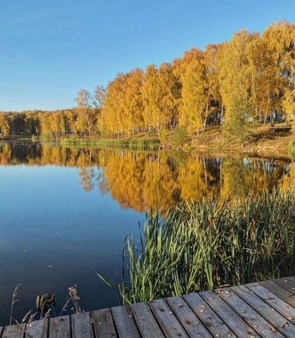 34 км, 137, Домодедово, Новокаширское шоссе фото
