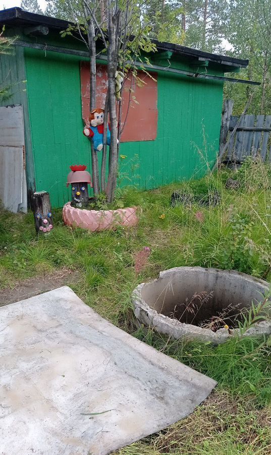 земля г Мончегорск снт Голубая лагуна фото 8