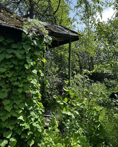 дачное товарищество Восход, садовое, р-н Октябрьский фото