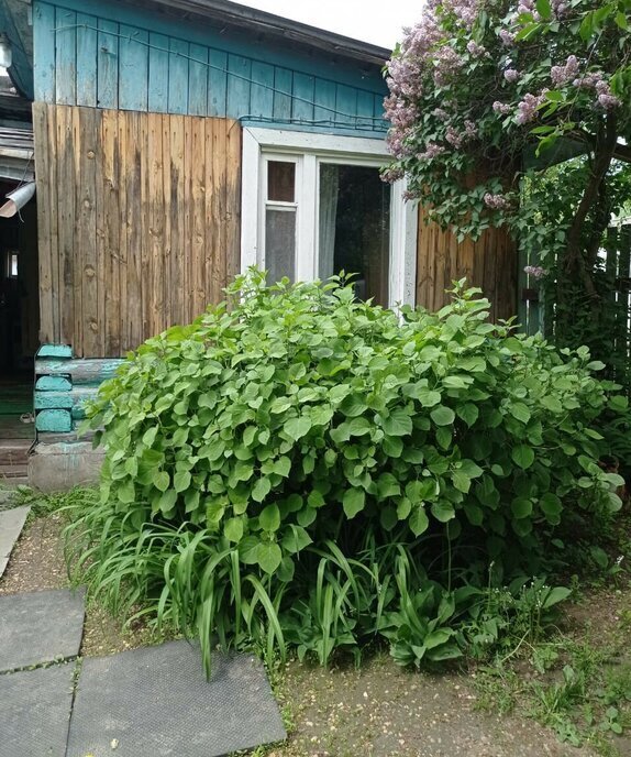 дом г Владимир р-н Ленинский ул Солнечная 13 фото 1