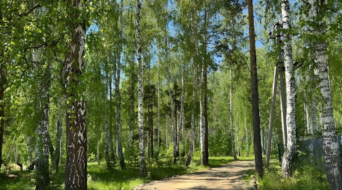 дом г Березовский п Становая ул Кирова 26 фото 4