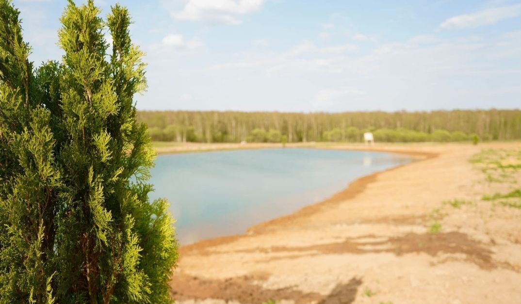земля г Ступино 50 км, КП Дианино, Михнево, Новокаширское шоссе фото 3