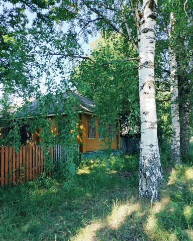 р-н Котласский г Сольвычегодск городской парк фото
