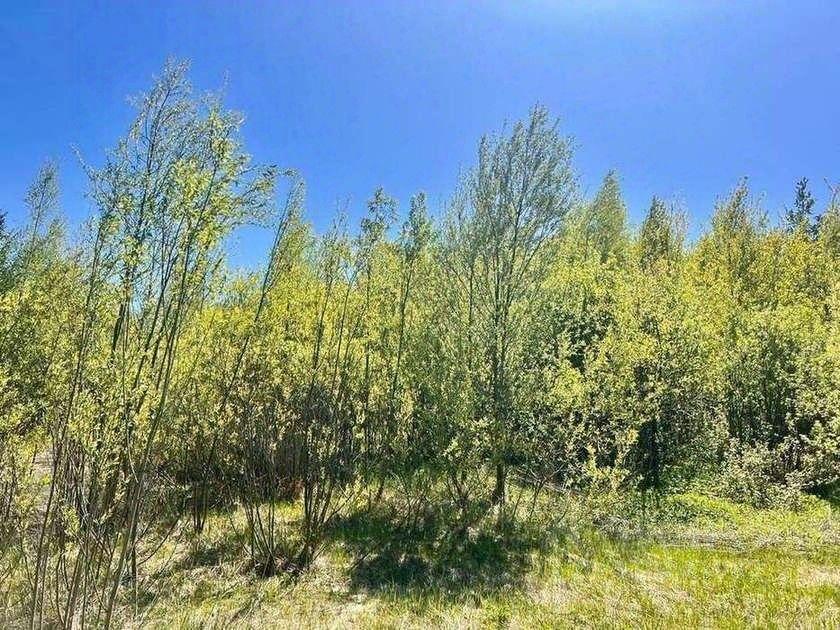 земля городской округ Богородский г Ногинск снт Семья 58 фото 2
