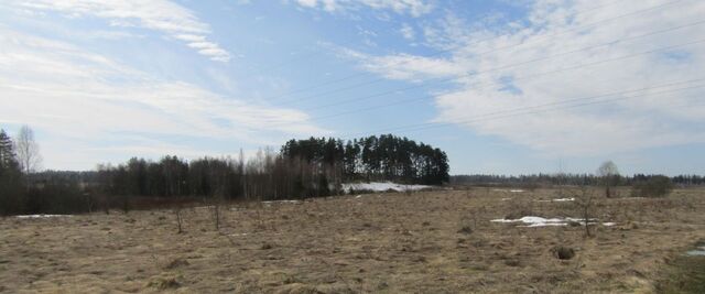 д Орешки фото