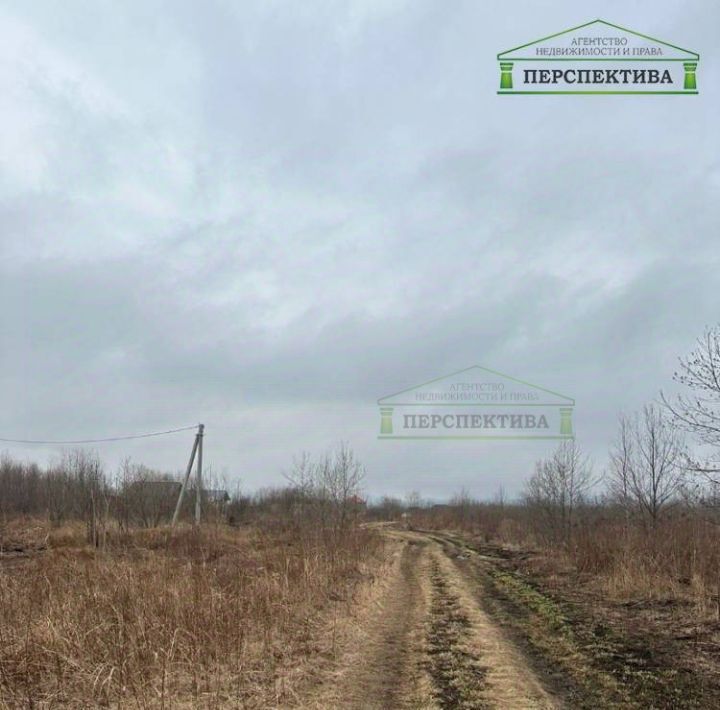 земля г Артем пгт Артемовский с Ясное ул Зорге-2 фото 9